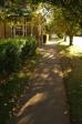 Robertson NSW street 3